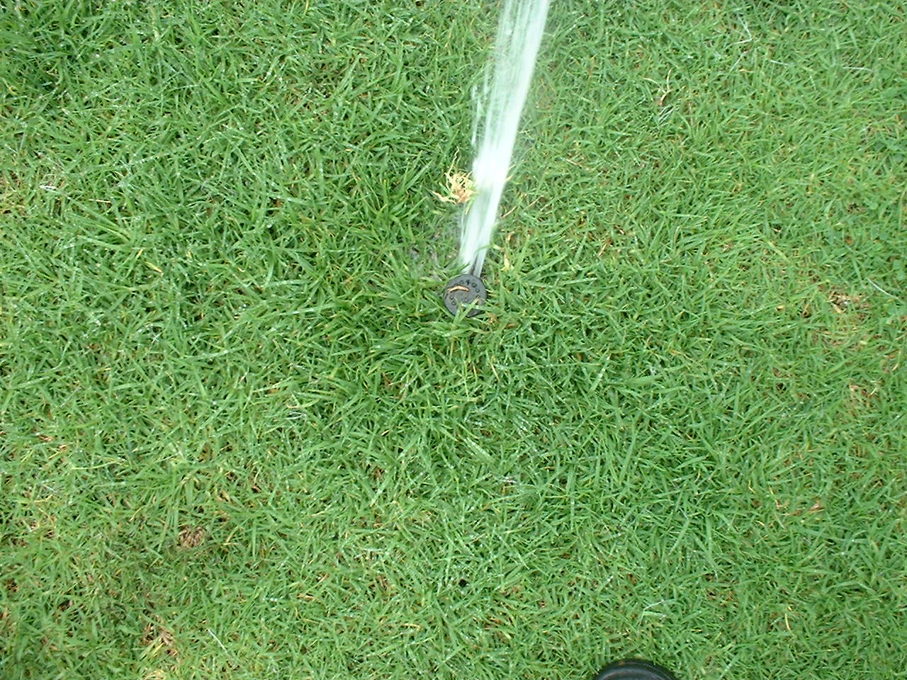 DSCF0026 DSCF0026